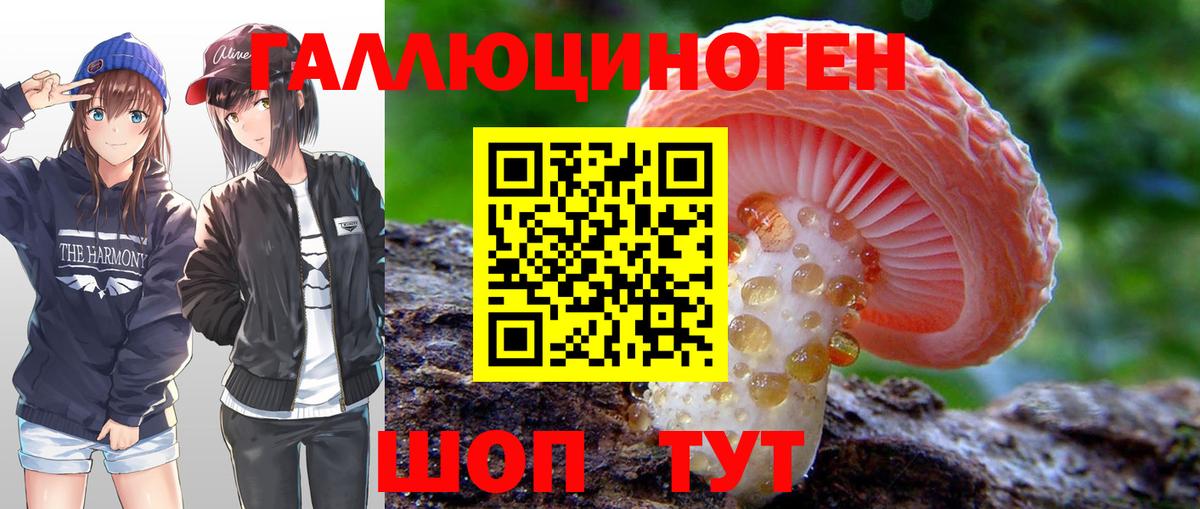 Цена  ГАШИШ  Alpha-PVP СК кристаллы  Тавда  Экстази  МАРИХУАНА  Марихуана  Вход с VPN  Меф МЯУ МЯУ  