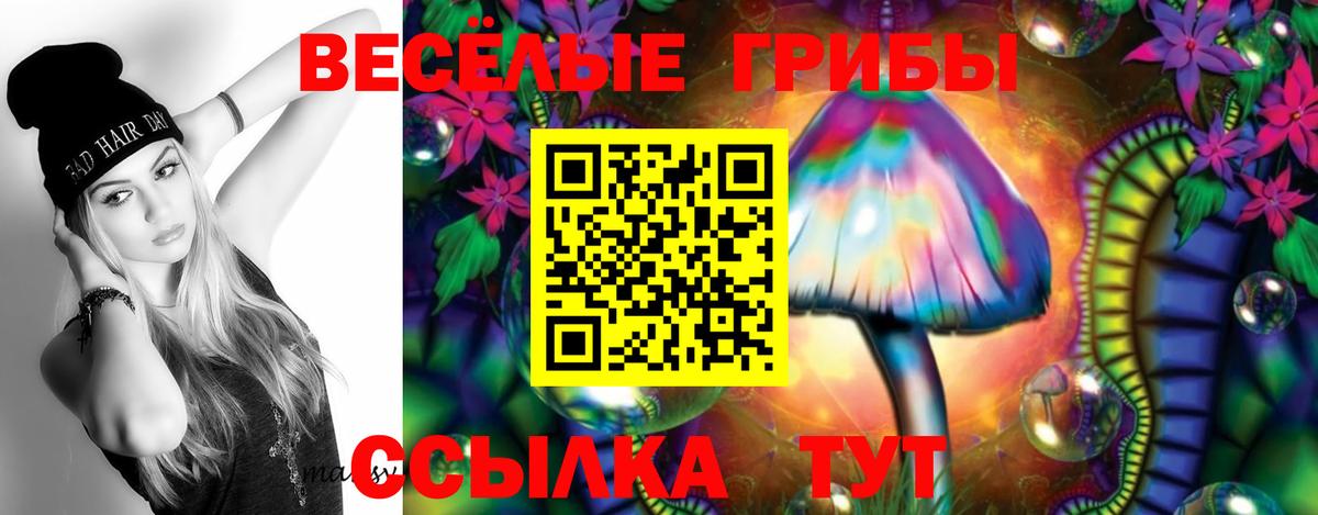Псилоцибиновые грибы мухоморы Тавда